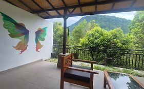 Sugi Gede Homestay
